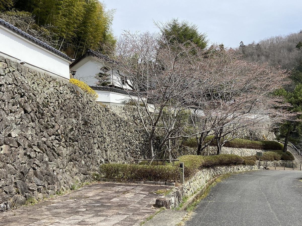 f:id:nayutakun:20220405164319j:plain