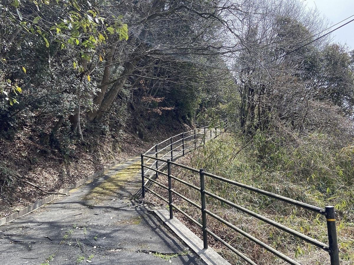 f:id:nayutakun:20220405164643j:plain