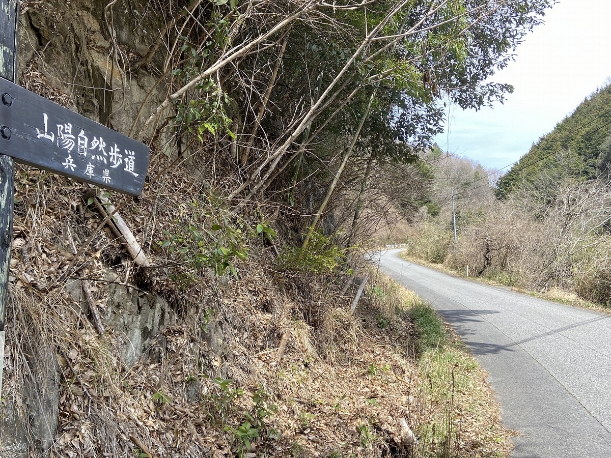 f:id:nayutakun:20220405164743j:plain