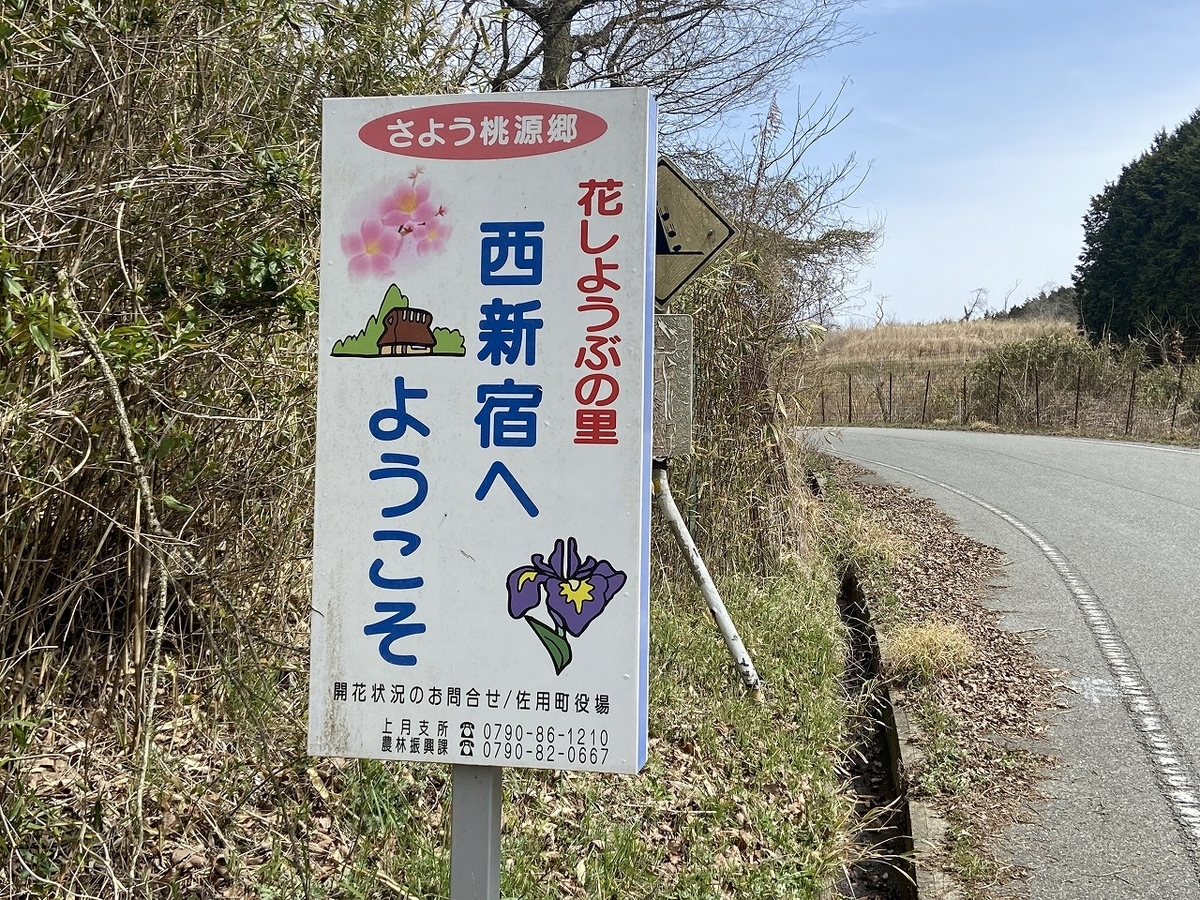 f:id:nayutakun:20220405164916j:plain