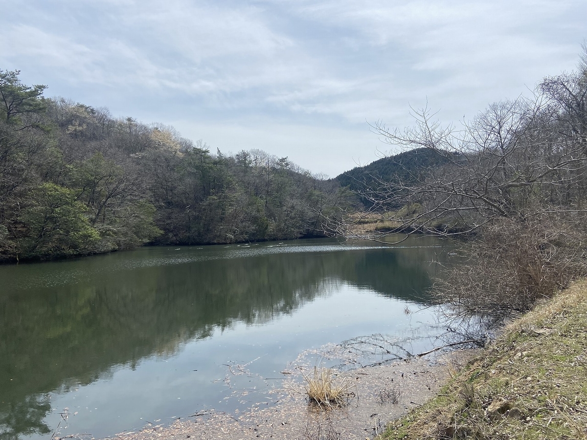 f:id:nayutakun:20220405165139j:plain