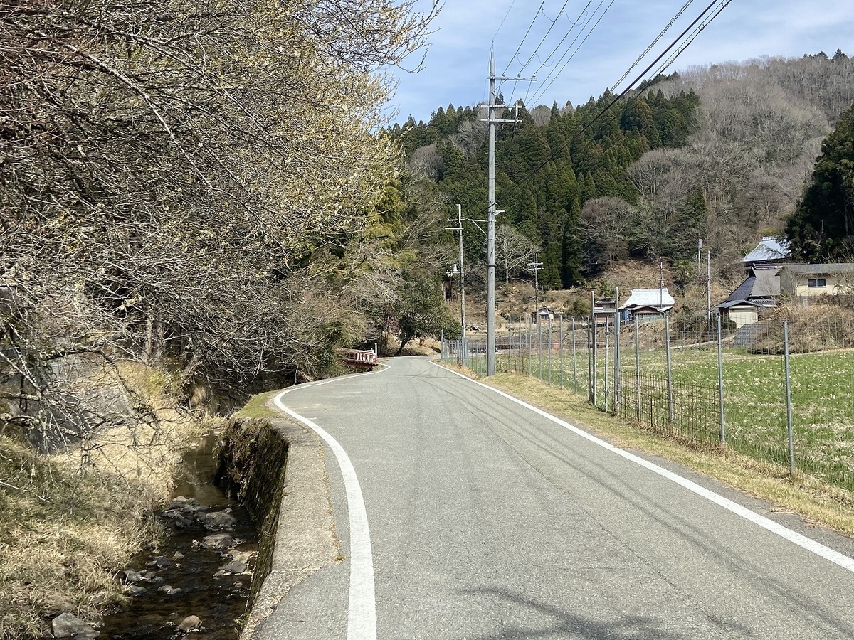 f:id:nayutakun:20220405165204j:plain