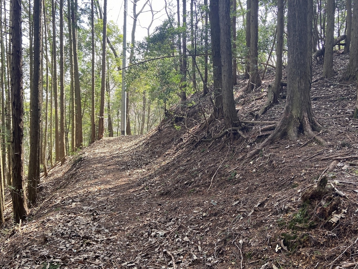 f:id:nayutakun:20220405165929j:plain