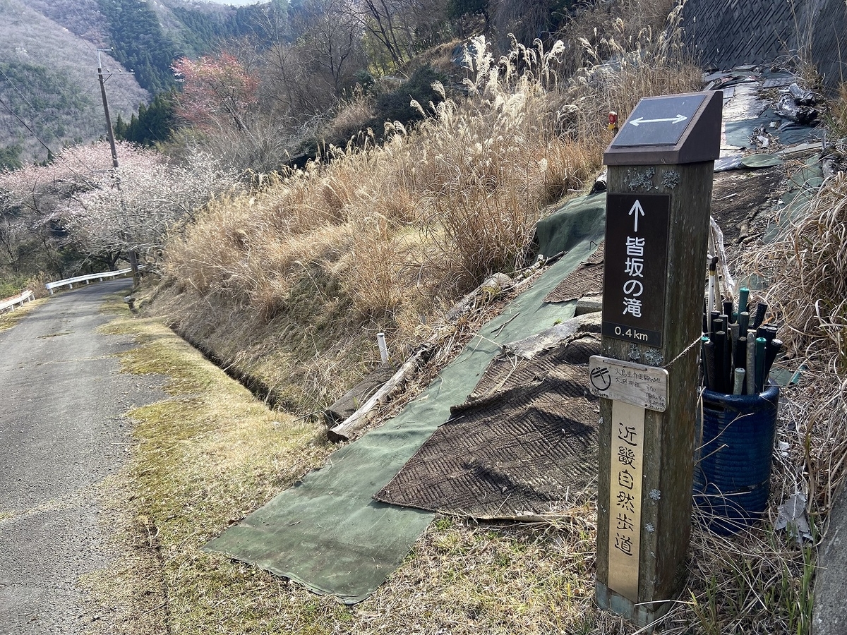 f:id:nayutakun:20220405170043j:plain