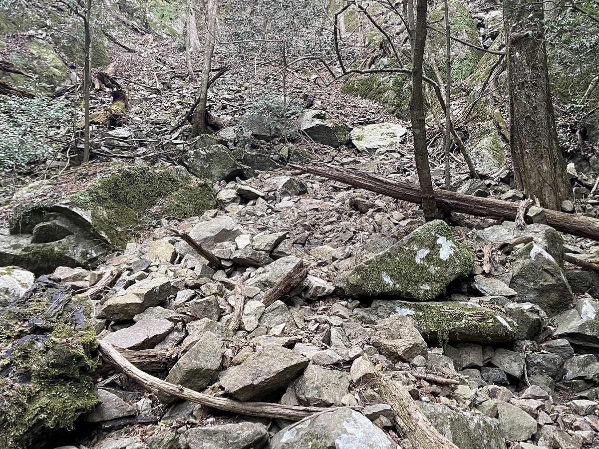 f:id:nayutakun:20220405170154j:plain