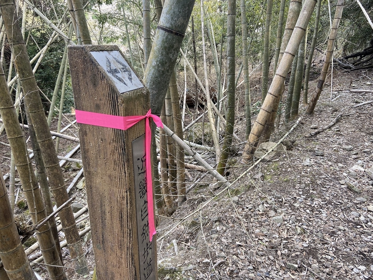 f:id:nayutakun:20220405170247j:plain