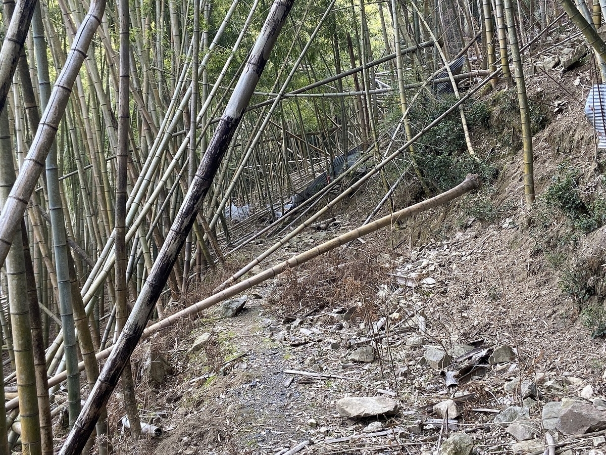 f:id:nayutakun:20220405170344j:plain