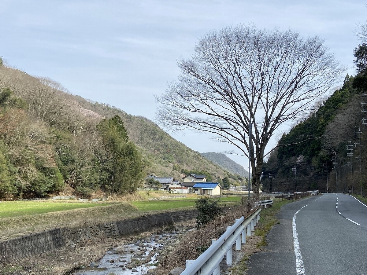 f:id:nayutakun:20220405170528j:plain