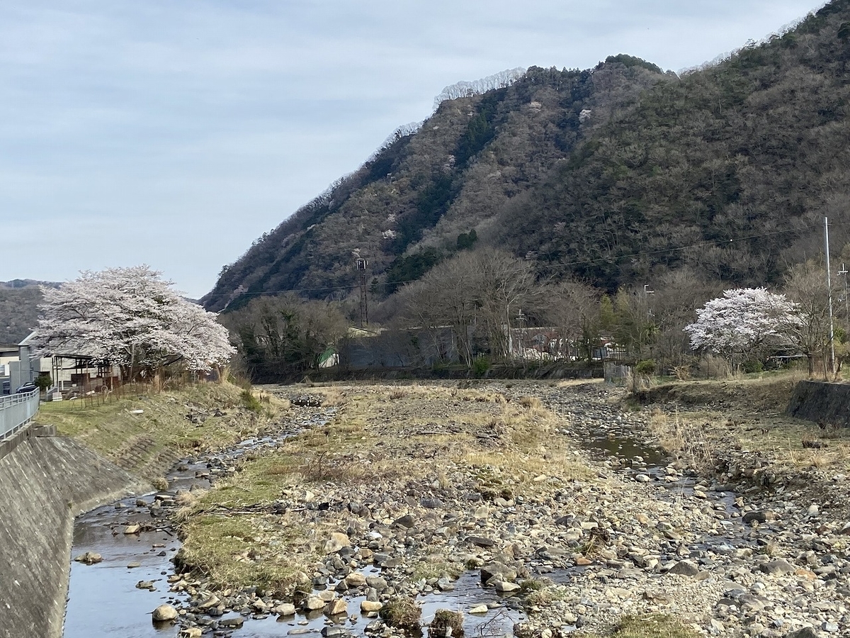 f:id:nayutakun:20220405170826j:plain