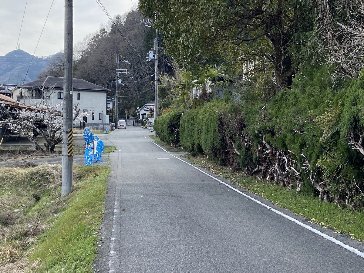 f:id:nayutakun:20220405171000j:plain