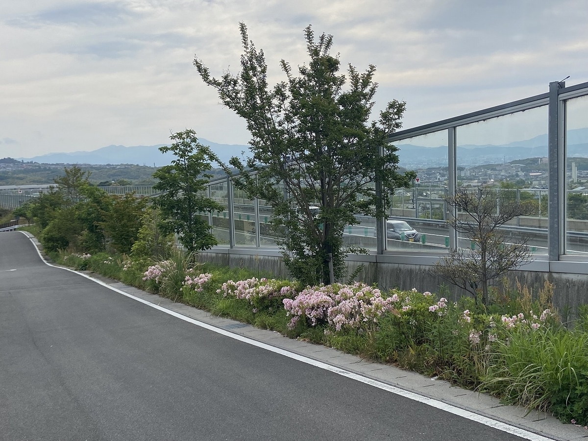 2022年5月6日 東海自然歩道3日目(通算185日) 京都府京都市西京区西山