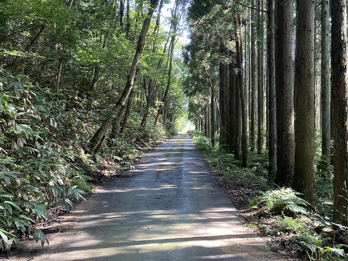 道南の自然を歩く Chiyo's Walk] Hakodate Edition ~ Hokkaido Trip by Shinkansen