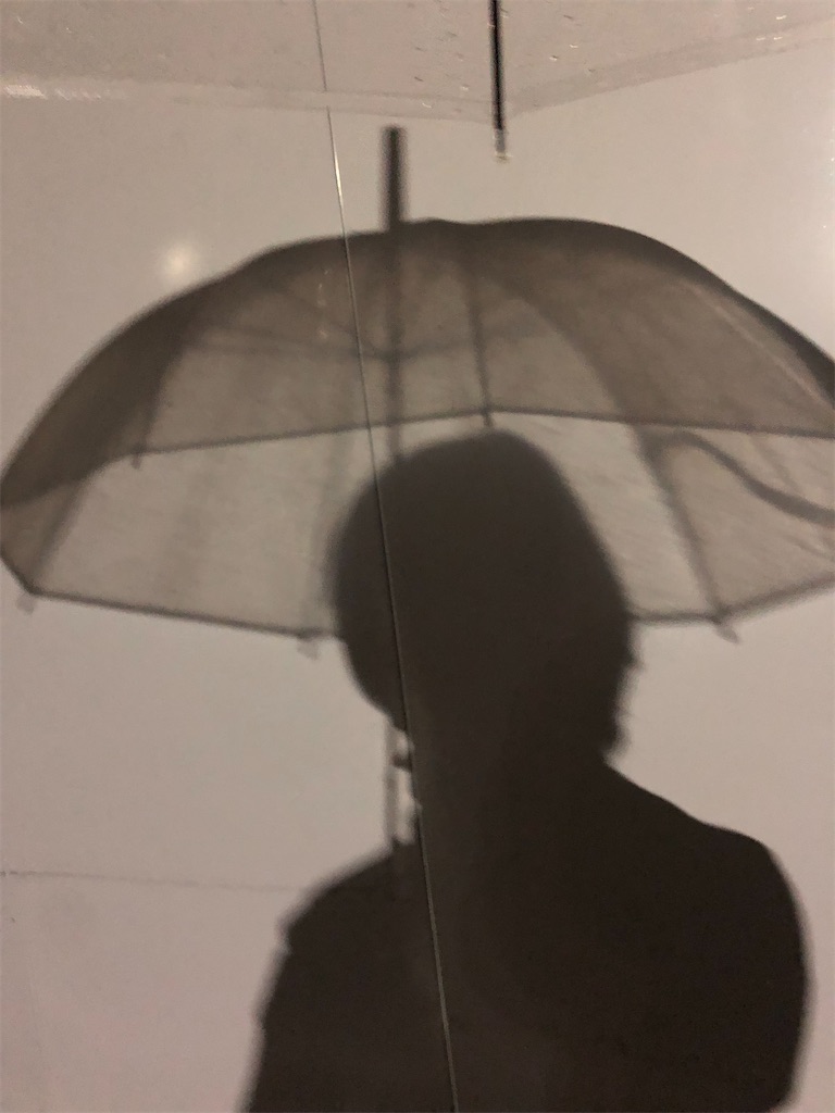 Doomer's Friday Night - 𝙕𝙤𝙢𝙗𝙞𝙚 𝙋𝙤𝙥