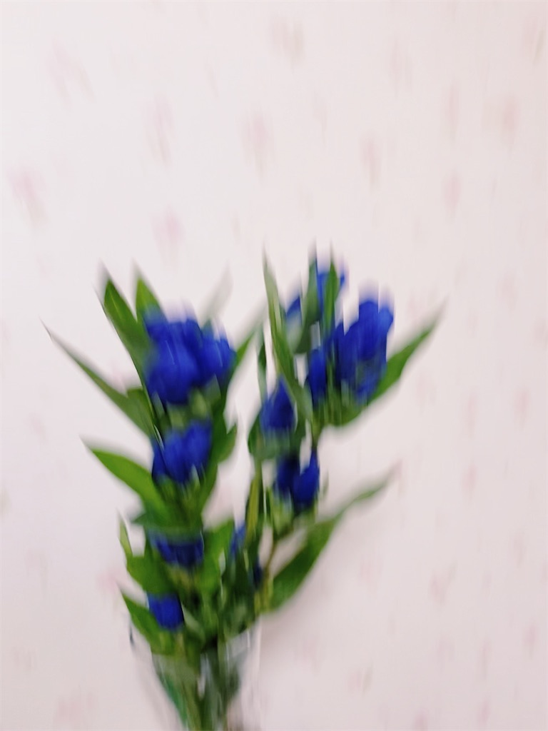 f:id:nayuttttttt:20210716225234j:image