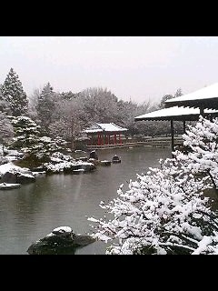 f:id:nazegaku:20080209135121j:image