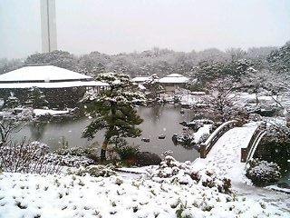 f:id:nazegaku:20080209140841j:image