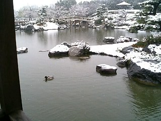 f:id:nazegaku:20080209141433j:image