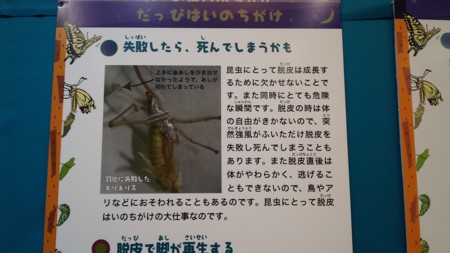 f:id:nazegaku:20160228125613j:image