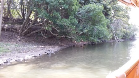 ぐるっと松江堀川めぐり