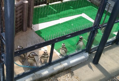 神戸市立須磨海浜水族園