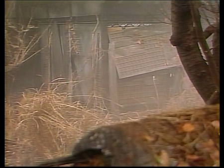 f:id:nazegaku:20200321142505p:image f:id:nazegaku:20200321142505p:image