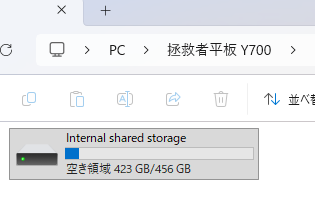 Lenovo Legion Y700,internal shared storage,
