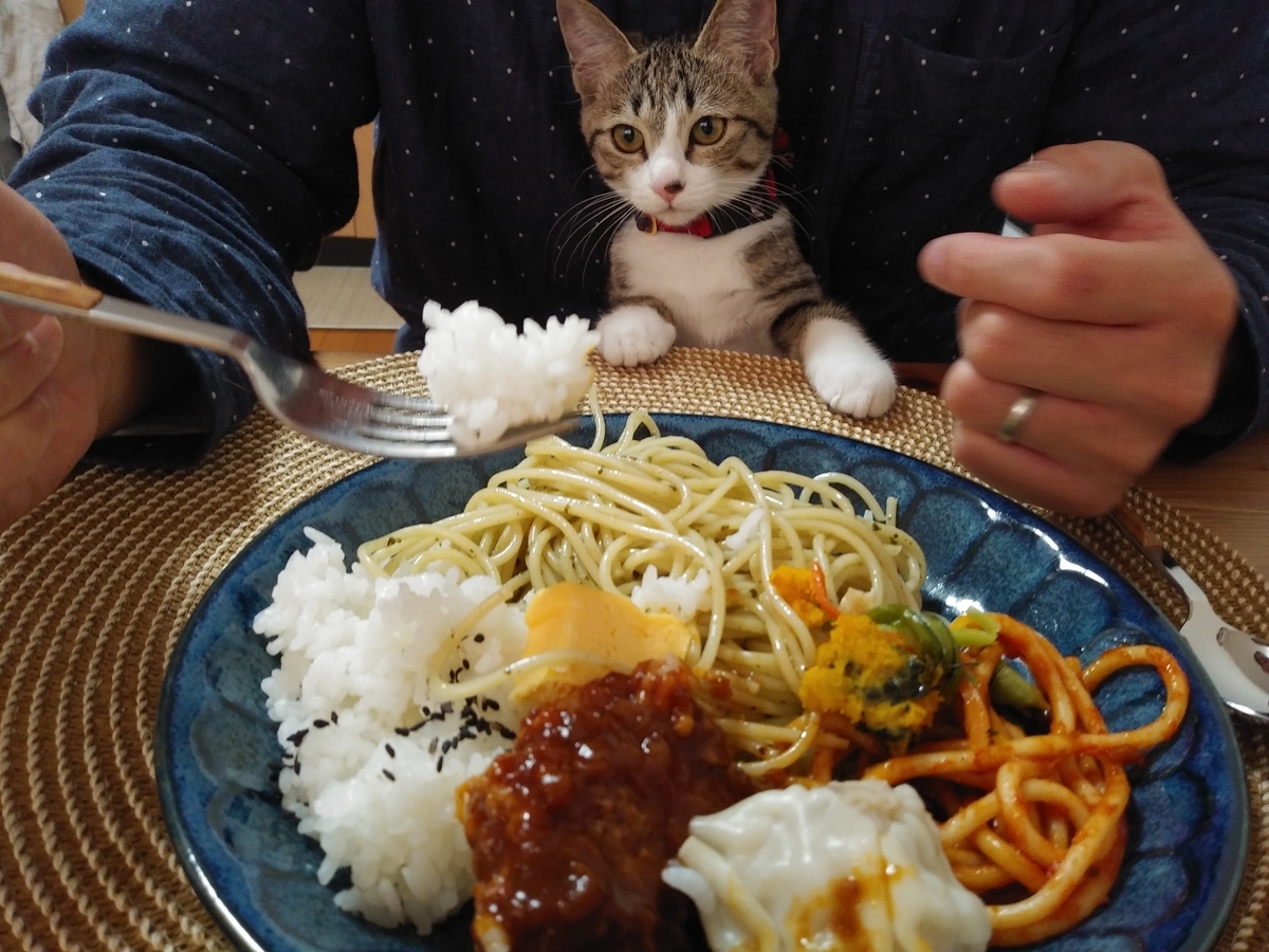 f:id:nazo_gohan:20201208000812j:plain