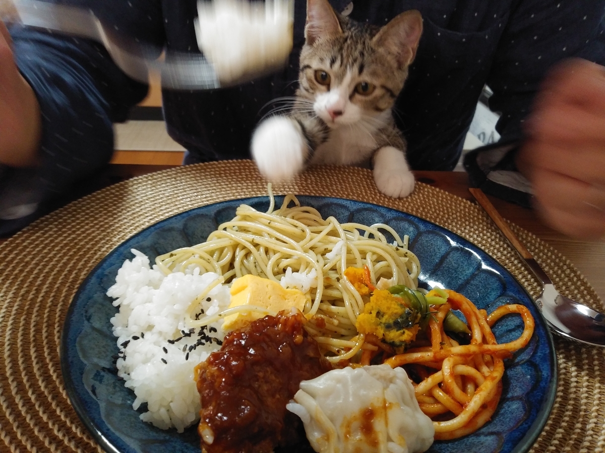 f:id:nazo_gohan:20201208000909j:plain
