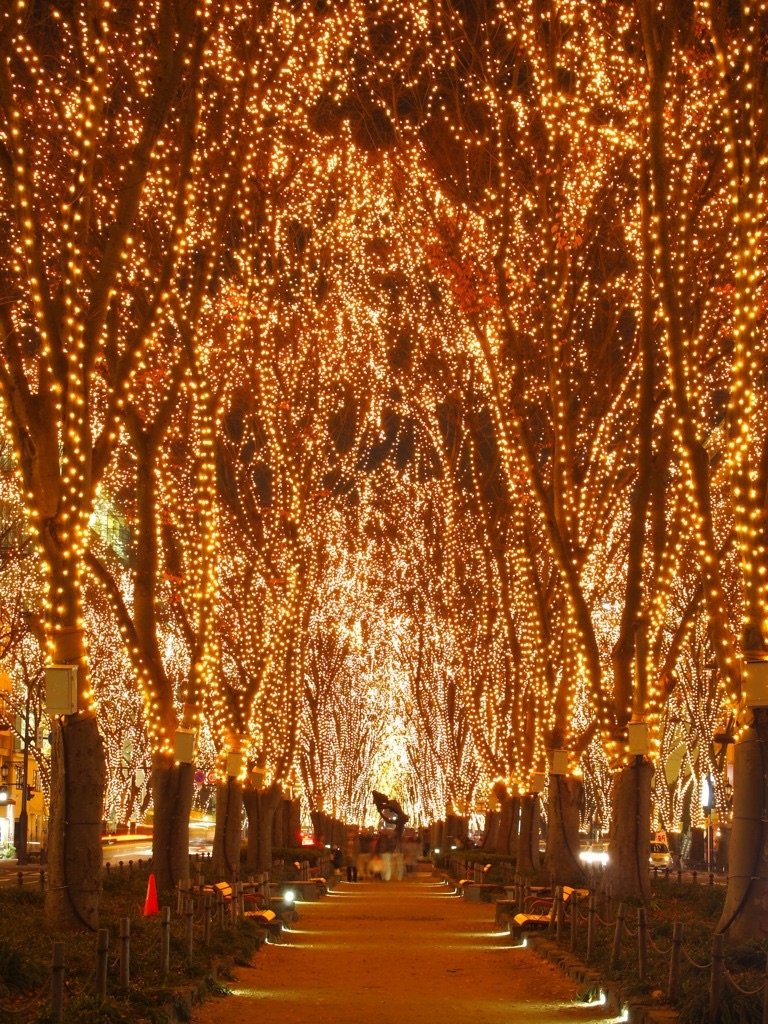 f:id:nazoko_dayo:20161005185843j:image f:id:nazoko_dayo:20161005185843j:image