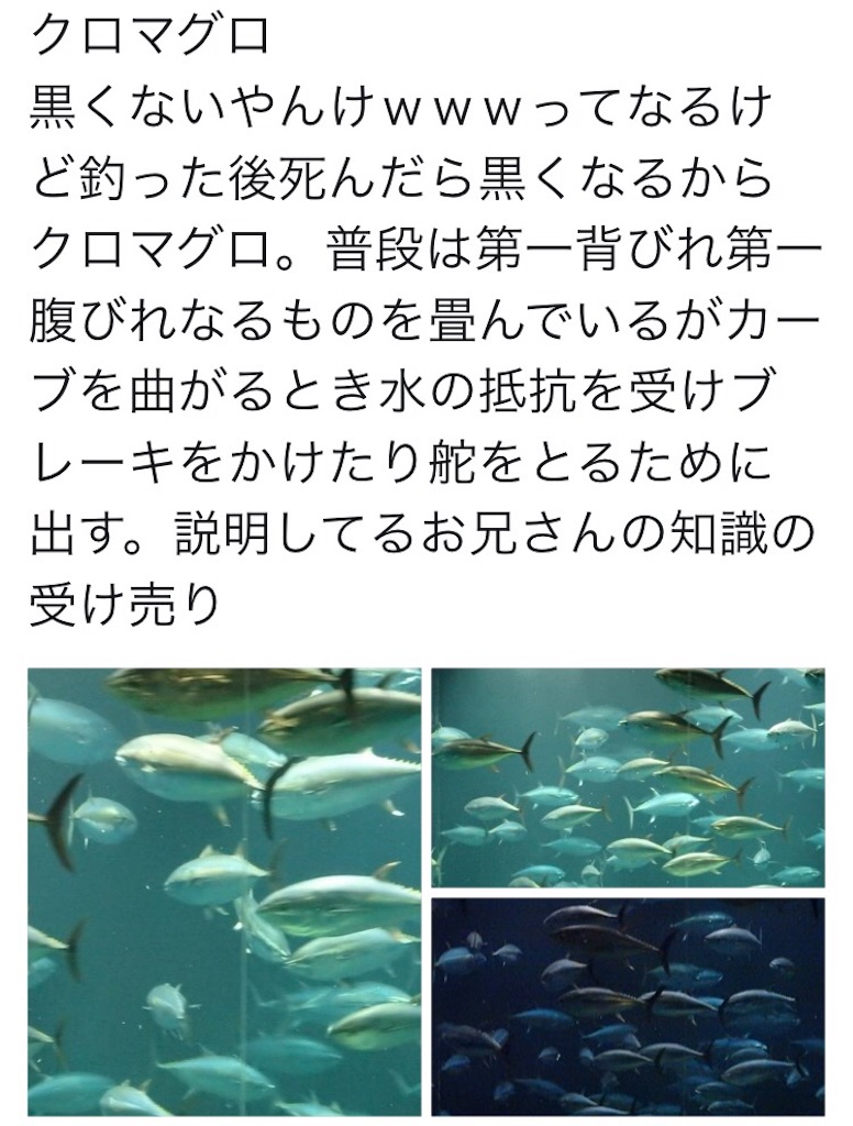 f:id:nazoko_dayo:20161128201008j:image