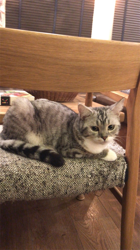 f:id:nazoko_dayo:20170407203157j:image f:id:nazoko_dayo:20170407203157j:image