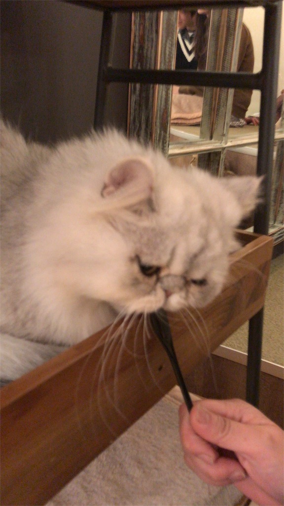 f:id:nazoko_dayo:20170407203628j:image f:id:nazoko_dayo:20170407203628j:image