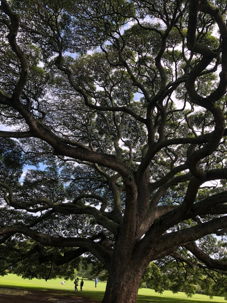 f:id:nazpapa:20180408083132j:plain