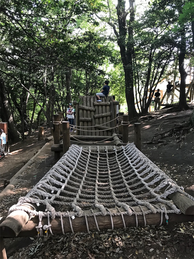 f:id:nazpapa:20180520121629j:image