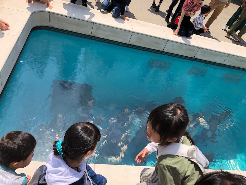f:id:nazpapa:20180520211558j:image