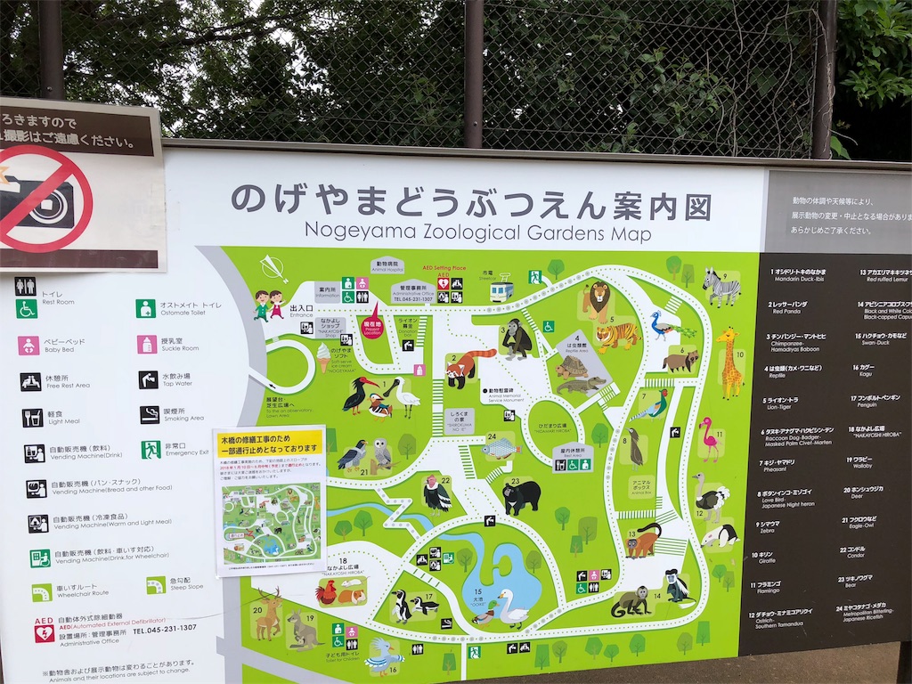f:id:nazpapa:20180715000740j:image