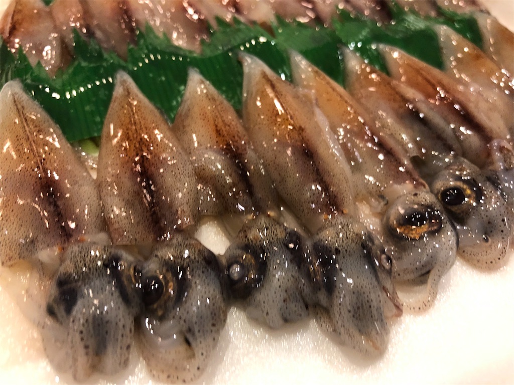 f:id:nazpapa:20190609024132j:image