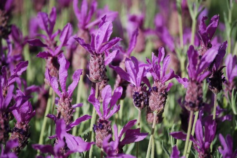 f:id:nbakki:20131005231159j:plain f:id:nbakki:20131005231159j:plain