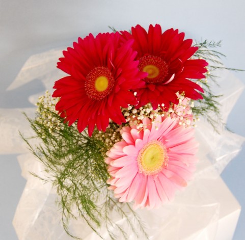 f:id:nbakki:20131005231240j:plain f:id:nbakki:20131005231240j:plain