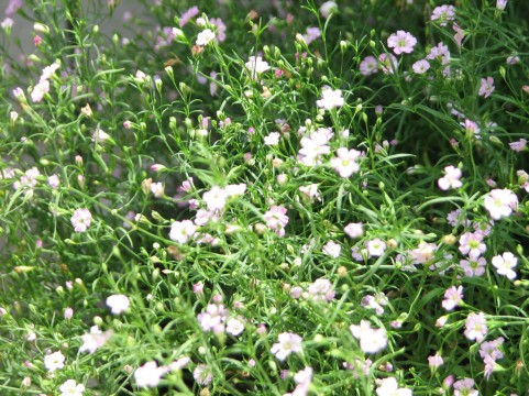 f:id:nbakki:20131005231332j:plain f:id:nbakki:20131005231332j:plain