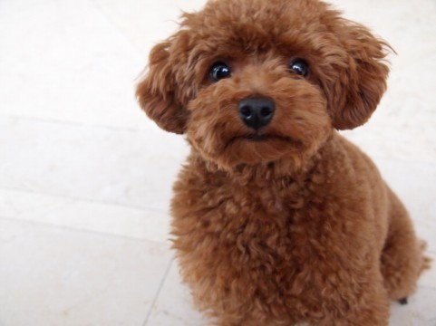 f:id:nbakki:20131019220955j:plain f:id:nbakki:20131019220955j:plain