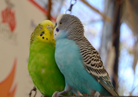 f:id:nbakki:20131019234202j:plain f:id:nbakki:20131019234202j:plain