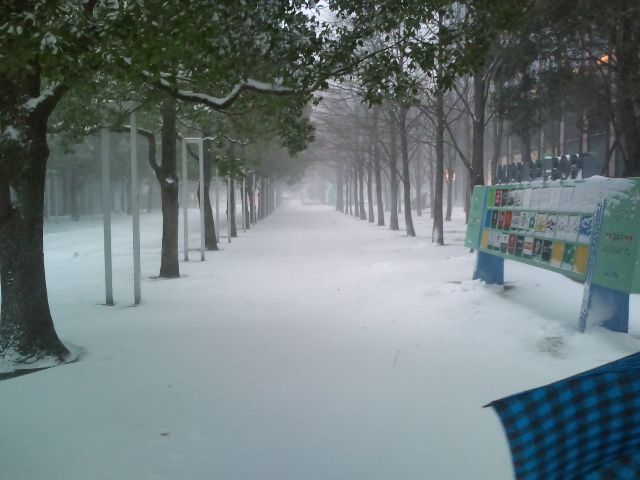 f:id:nbakki:20140208163717j:plain