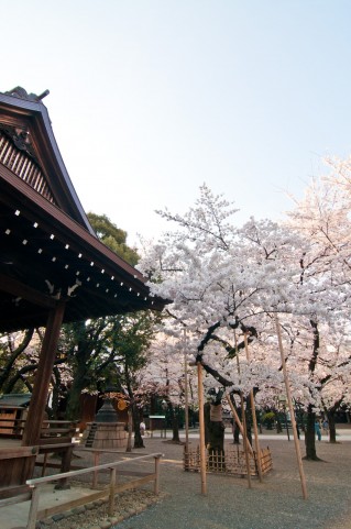 f:id:nbakki:20150327183850j:plain f:id:nbakki:20150327183850j:plain