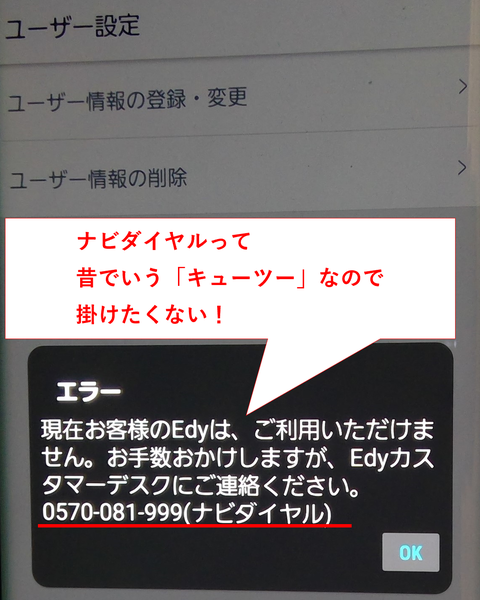 絶対解決 Edyで セキュリティーチェック発動 おすすめノブログ