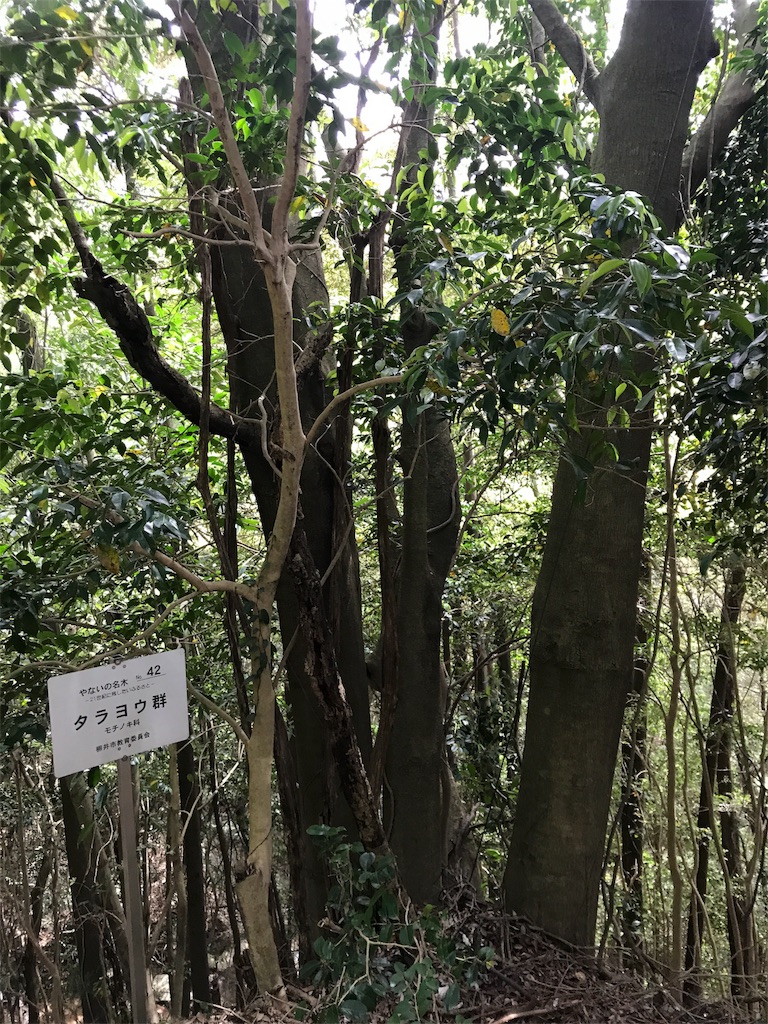 f:id:nc20-1005482:20170509150417j:image f:id:nc20-1005482:20170509150417j:image