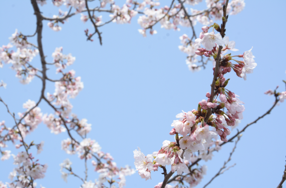 f:id:nc20-1005482:20180329172022p:plain f:id:nc20-1005482:20180329172022p:plain