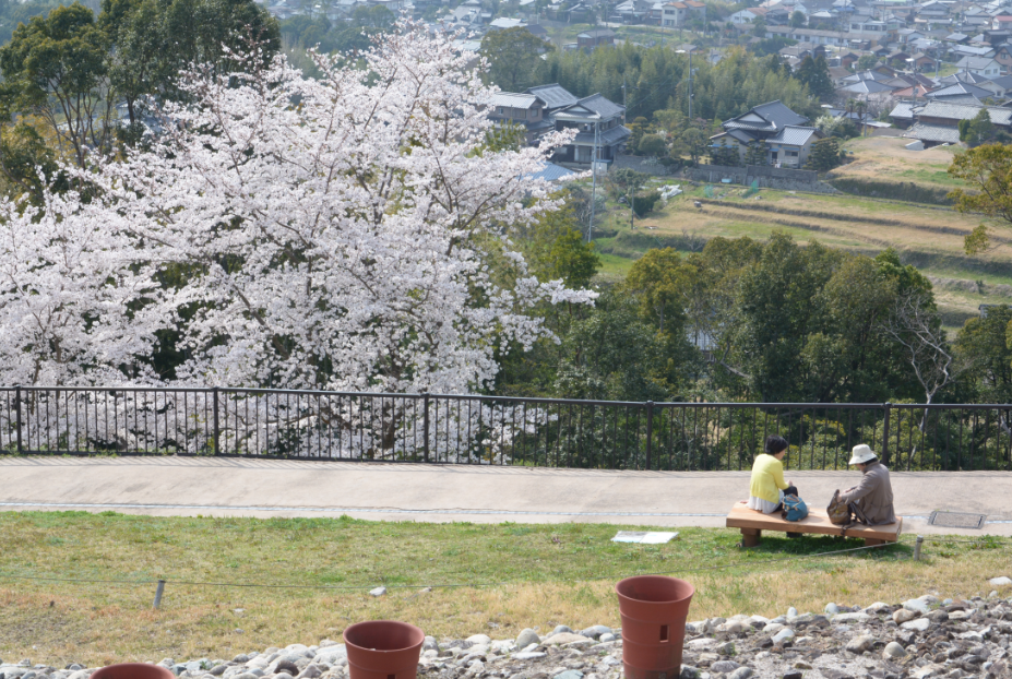 f:id:nc20-1005482:20180329172317p:plain f:id:nc20-1005482:20180329172317p:plain