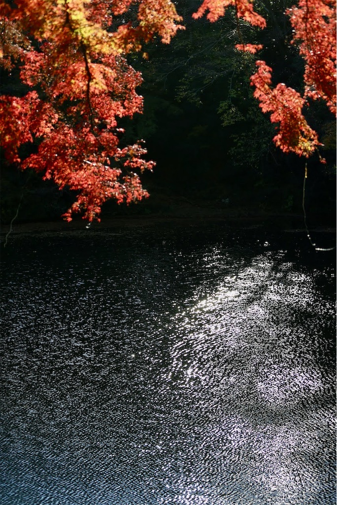 f:id:ncc1701f:20231203212256j:image f:id:ncc1701f:20231203212256j:image