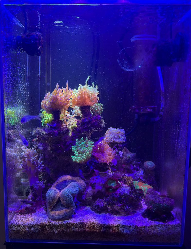 f:id:ncc1701f:20260526225549j:image